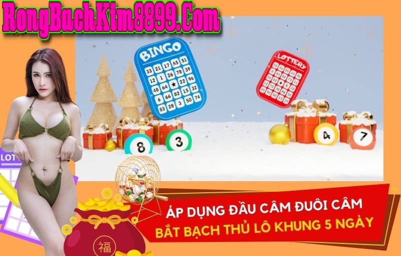 Áp dụng đầu câm đuôi câm để bắt bạch thủ lô khung 5 ngày