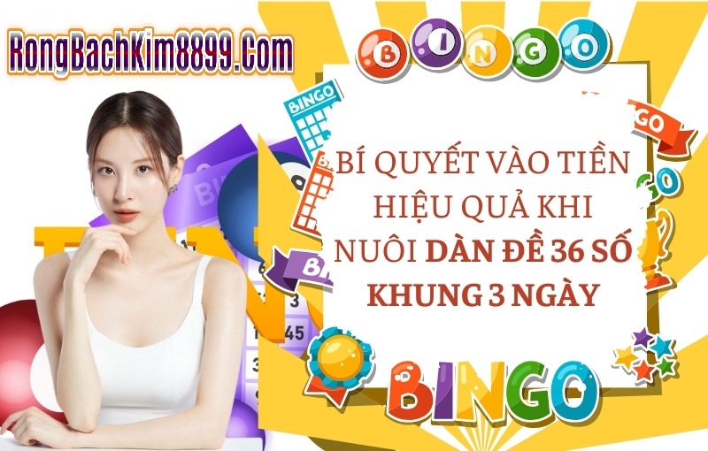 Bí quyết vào tiền hiệu quả khi nuôi dàn đề 36 số khung 3 ngày