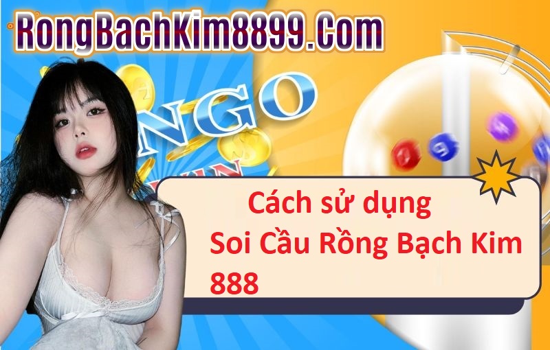 Cách sử dụng Soi Cầu Rồng Bạch Kim 888