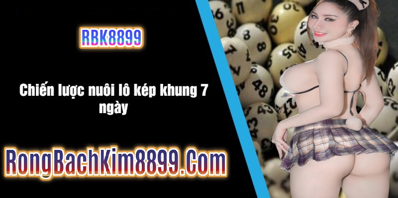 Chiến lược nuôi lô kép khung 7 ngày