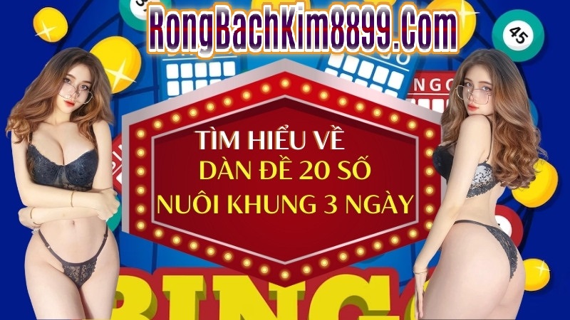 Đánh giá chung về dàn đề 20 số khung 3 ngày