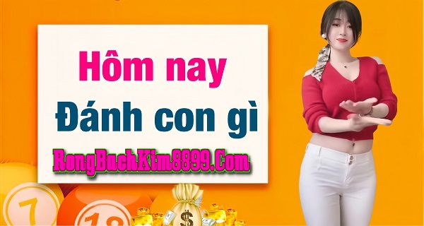 Hôm nay đánh con gì đẹp nhất