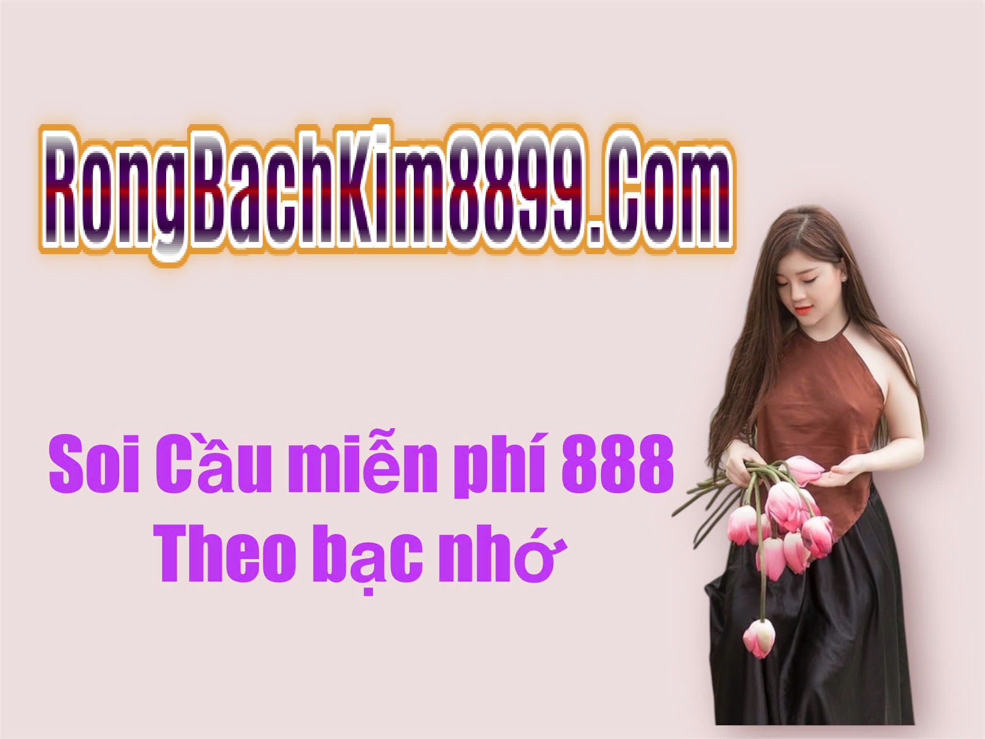 Hướng dẫn soi cầu miễn phí 888 2nháy