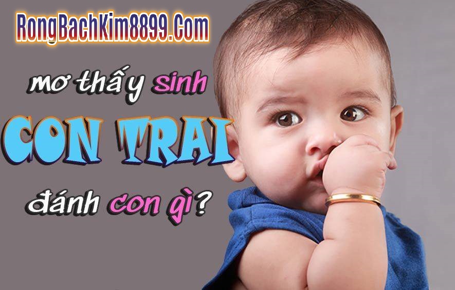 Mơ thấy sinh con trai đánh con gì