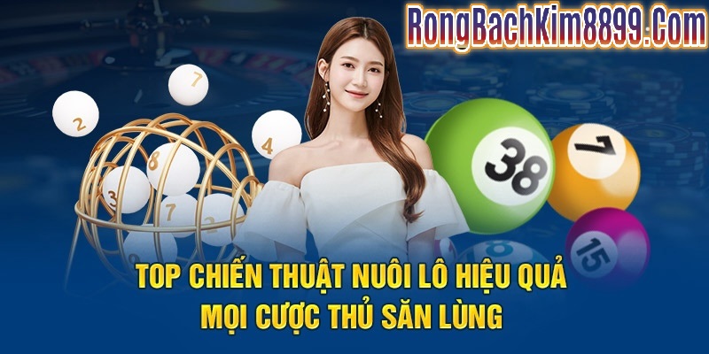 Phương pháp chơi nuôi lô khung hiệu quả