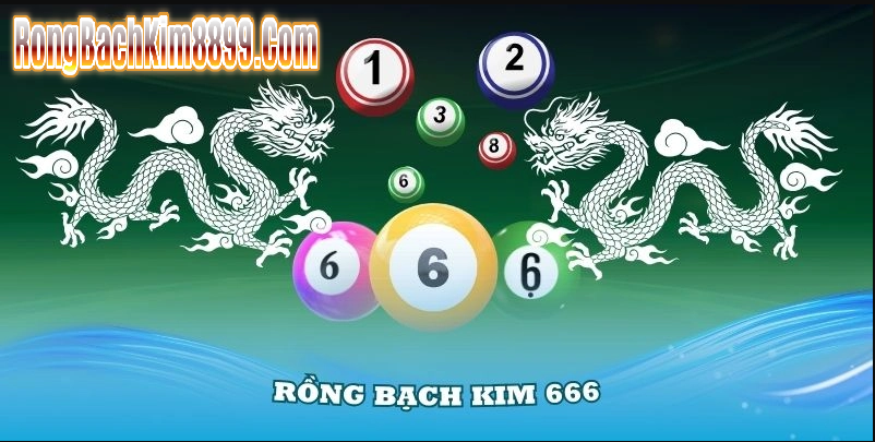 Rồng bạch kim 666 là gì