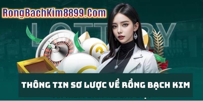 Rongbachkim.net Website soi cầu hàng đầu