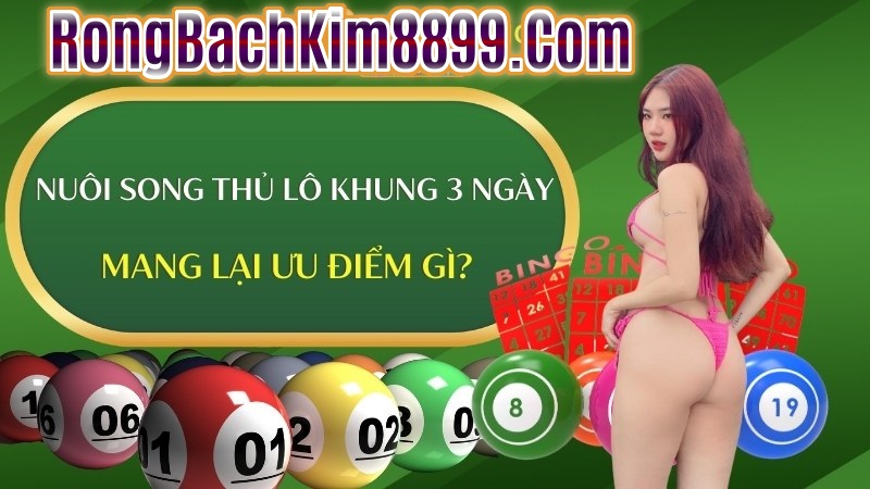 Ưu Nhược điểm Nuôi song thủ lô khung 3 ngày