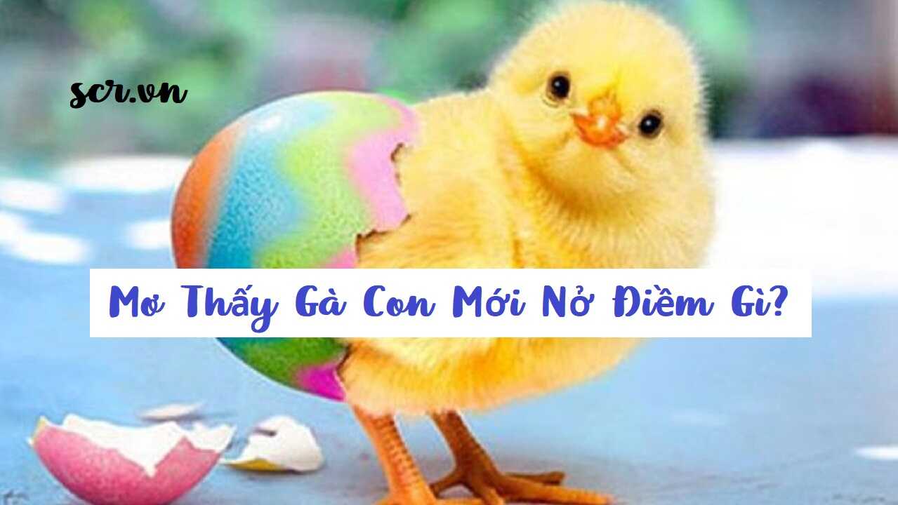 Mơ thấy con gà đánh số nào