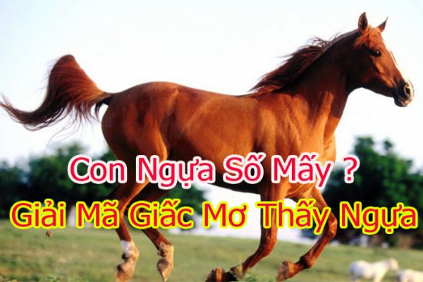 Mơ thấy con ngựa đang chạy