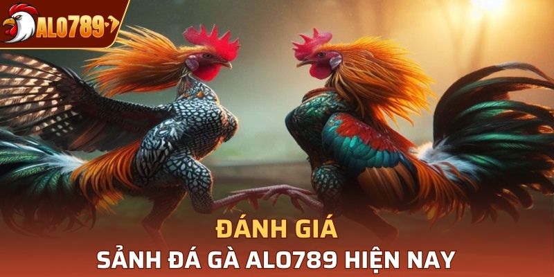 Các đánh giá về sảnh đá gà Alo789 từ chuyên gia