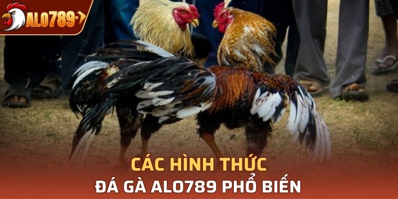 Hình thức đá gà phổ biến hiện nay tại Alo789