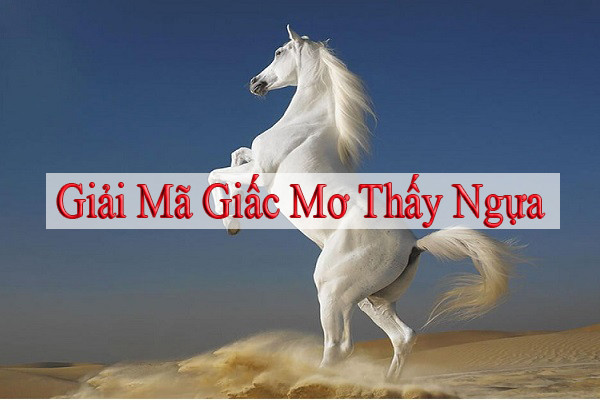 giải mã giấc mơ thấy ngựa