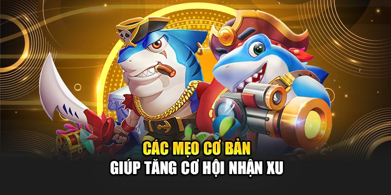 Các mẹo cơ bản giúp tăng cơ hội nhận xu
