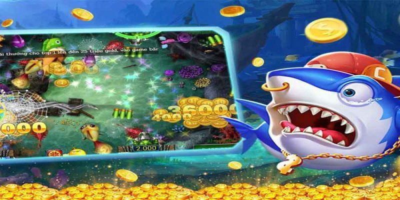 Quản lý vốn – bí quyết sống còn cho dân cược
