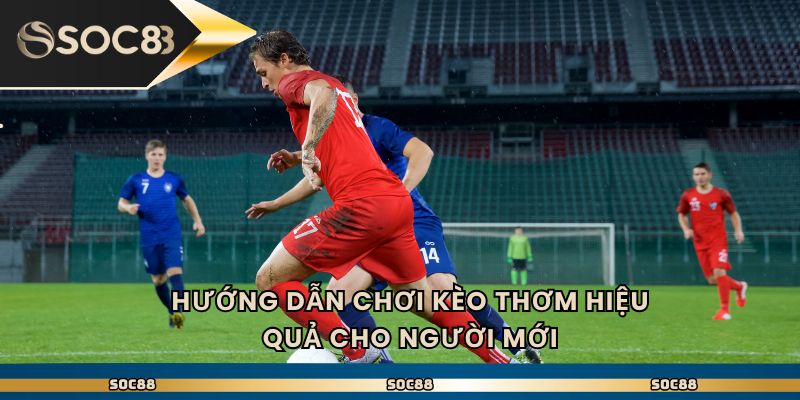 Hướng dẫn chơi kèo thơm hiệu quả cho người mới
