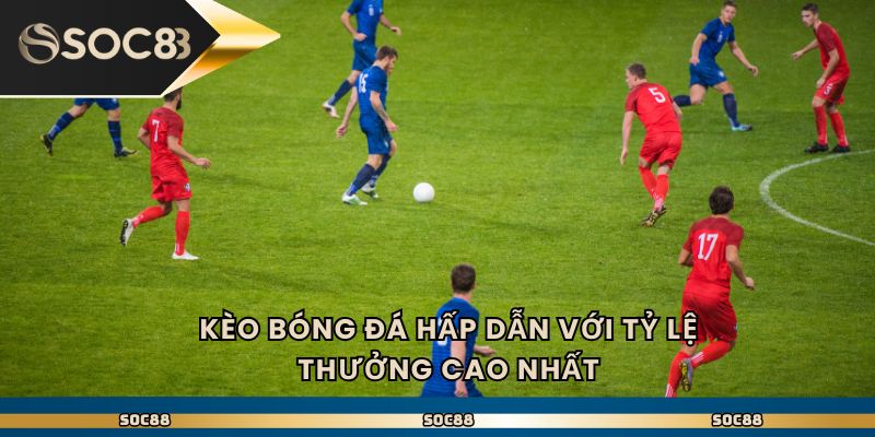 Kèo bóng đá hấp dẫn với tỷ lệ thưởng cao nhất