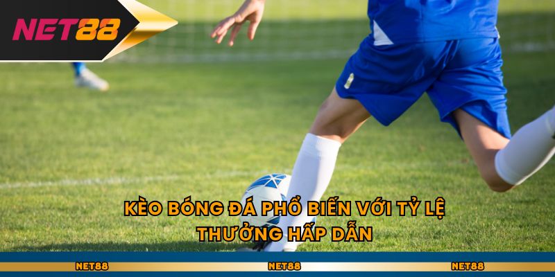 Kèo bóng đá Net 88 phổ biến với tỷ lệ thưởng hấp dẫn