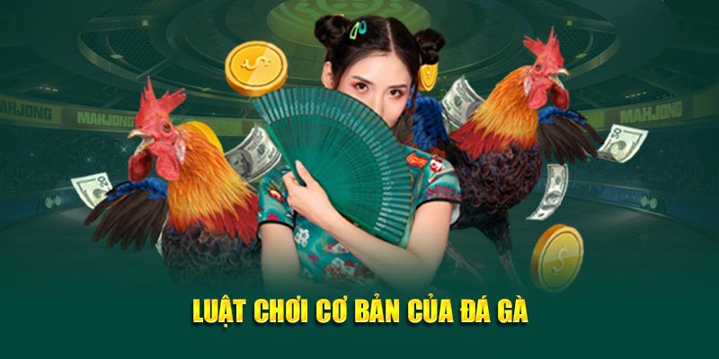 Luật chơi cơ bản của đá gà