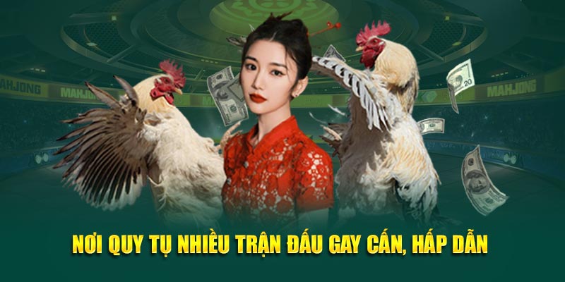 Nơi quy tụ nhiều trận đấu gay cấn, hấp dẫn