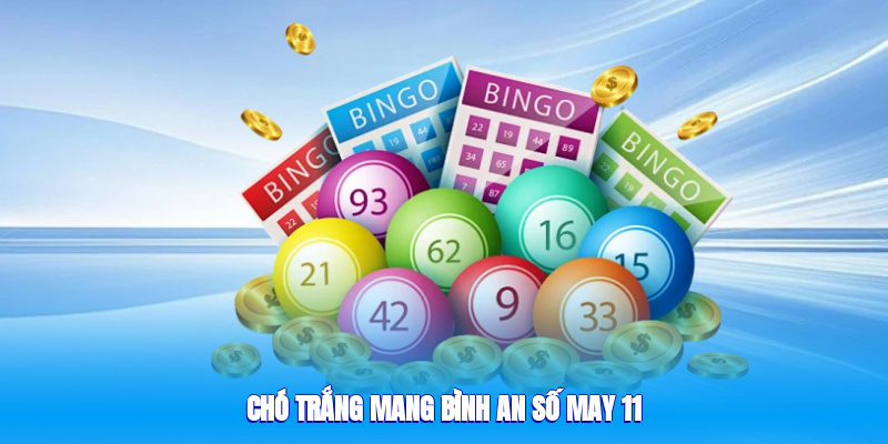Chó trắng mang bình an, số may 11