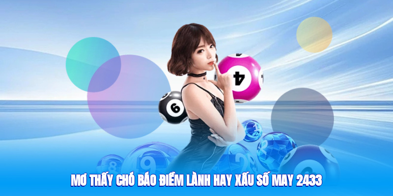Mơ thấy chó báo điềm lành hay xấu, số may 24,33