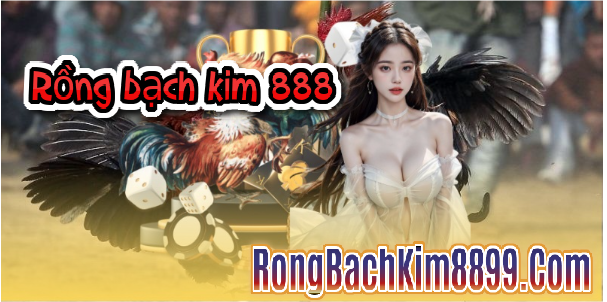 Rồng bạch kim 888 ngày 16/8/2025