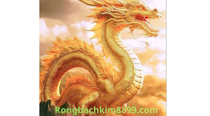 Rồng bạch kim 888 ngày 22/3/2026 - Soi Cầu 247 Rồng Bạch Kim Chính Xác 100
