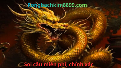 Rồng bạch kim 888 ngày 24/3/2026 - Soi Cầu 247 Rồng Bạch Kim Chính Xác 100
