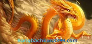 Rồng bạch kim 888 ngày 19/3/2026 - Soi Cầu 247 Rồng Bạch Kim Chính Xác 100