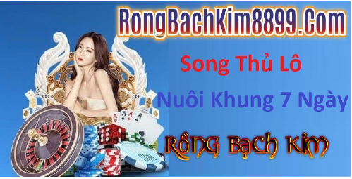 Rồng bạch kim 888 ngày 08/5/2026 - Soi Cầu 247 Rồng Bạch Kim Chính Xác 100