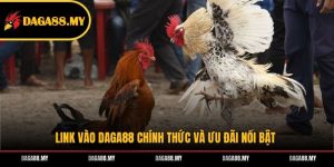 Link vào DAGA88 chính thức và ưu đãi nổi bật Link vào DAGA88 chính thức và ưu đãi nổi bật