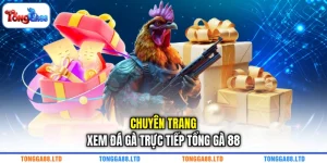 Chuyên trang xem đá gà trực tiếp TỔNG GÀ 88 Chuyên trang xem đá gà trực tiếp TỔNG GÀ 88