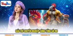 Giải trí chuyên nghiệp cùng TỔNG GÀ 88 Giải trí chuyên nghiệp cùng TỔNG GÀ 88
