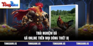Trải nghiệm đá gà online trên mọi dòng thiết bị Trải nghiệm đá gà online trên mọi dòng thiết bị