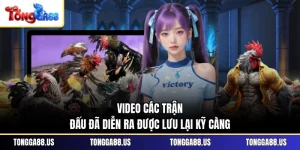 Video các trận đấu đã diễn ra được lưu lại kỹ càng Video các trận đấu đã diễn ra được lưu lại kỹ càng